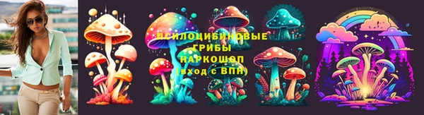 ПСИЛОЦИБИНОВЫЕ ГРИБЫ Бронницы