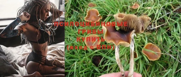 ПСИЛОЦИБИНОВЫЕ ГРИБЫ Бронницы